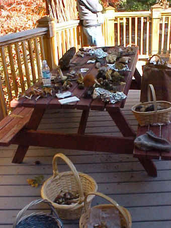 The collection table