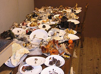 One of the ID tables at the field station