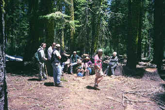 Yuba Pass